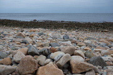 Fototapeta na wymiar Seaweed, Rocks, Shoreline