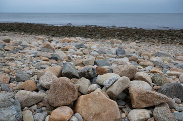 Seaweed, Rocks, Shoreline