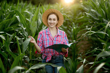 Farmer with a folder stands in a corn field and checks the growth of vegetables. Agriculture - food production, harvest concept