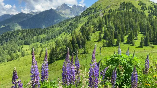 Summer scenery near the Krahbergzinken mountain, Austria. Krahbergzinken is a mountain situated west of Untertal valley and south-east of Schladming.