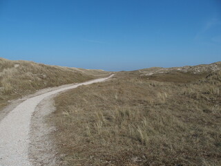 Dünenweg in Nordholland, Niederlande