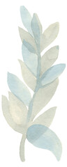 Watercolors, green leaves, blue leaf, flowers on a branch. Olive, tropical, field branches.Illustration for wedding design, invitations and postcards.