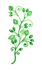 Watercolors, green leaves, blue leaf, flowers on a branch. Olive, tropical, field branches.Illustration for wedding design, invitations and postcards.