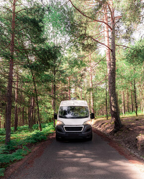Van parked on road in forest