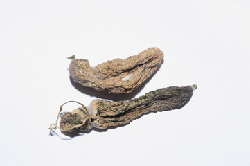 Mummified cucumber fruits on a white background