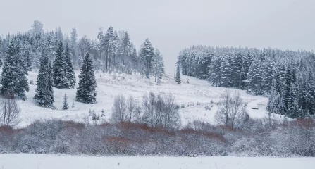 Foto op Canvas Snow-covered hill with forest at the Stone Hill park on a frosty winter day. Beautiful landscape with conifer forest on snowy cloudy day. Frozen nature in fantastic white forest © Evgesha