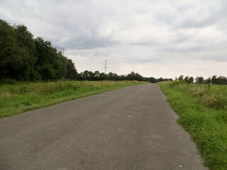 Route asphaltée au milieu des champs sous un ciel nuageux