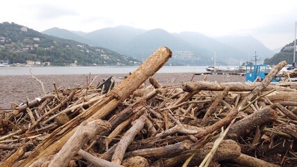 Fototapeta na wymiar Europe, Italy, Como, July 2021 extensive damage after the flood in Como - Lake Como is full of woods and trees undermined by the force of the storm due to rain and overflowing rivers