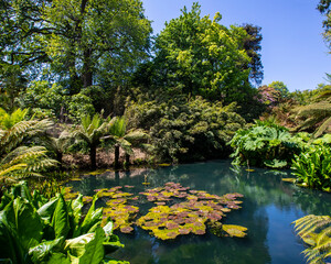 The Jungle at the Lost Gardens of Heligan in Cornwall, UK