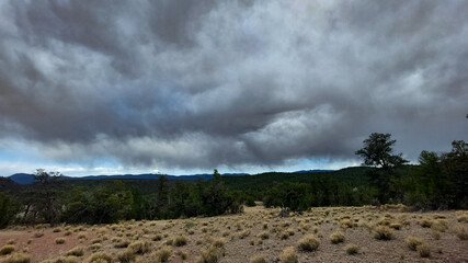 Fototapeta premium New Mexico Hike 3