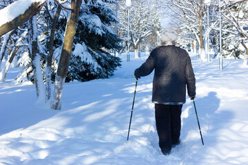 Senior at the snow in winter nordic walking