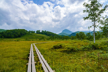 志賀高原湿地帯の散策風景