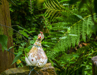 buntes Huhn sitzt auf einem Grabstein