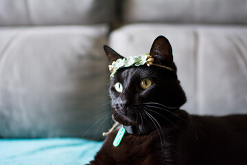 Lise and her headbands
