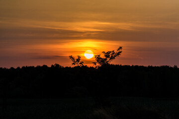 Fototapety na wymiar - Fototapeta24.pl