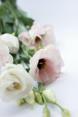 Bouquet of eustoma. Eustoma flowers isolated on white background.