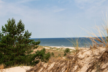 sand dunes and beach