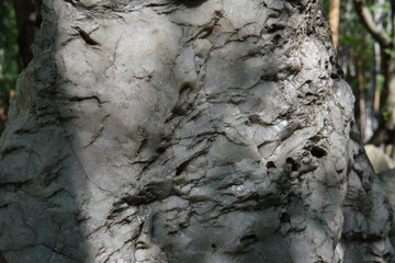 white mineral in nature. stone with irregularity and hole in natural conditions. albit. marble