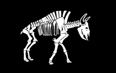 Graphical skeleton of bison isolated on black background,vector  engraved illustration © Алексей Воробьёв
