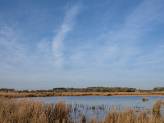 Dwingelderveld near Dwingeloo and Ruinen, Drenthe Province, The netherlands