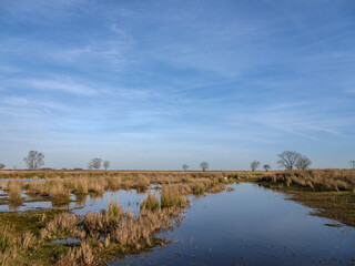 Dwingelerveld near Dwingeloo and Ruinen, Drenthe Province, The netherlands