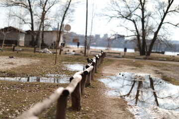 large puddles on the beach after rain in bad weather