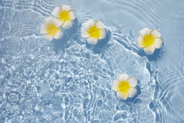 Poster Top view Plumeria or frangipani on surface of water. Ripple of water and Shadow of flower. © vetre