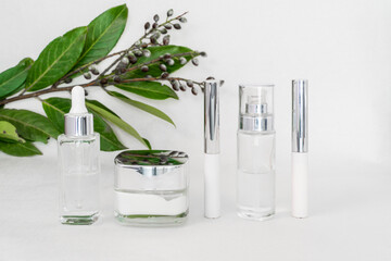 cosmetic flat lay: face cosmetics in white on a white background with a green sprig of olives