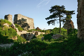 Fototapeta na wymiar The ruins of the castle Stary Jicin. In the morning in the upper courtyard. Moravia. Europe.
