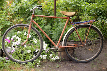 Fototapeta na wymiar old rusty bike in flowers