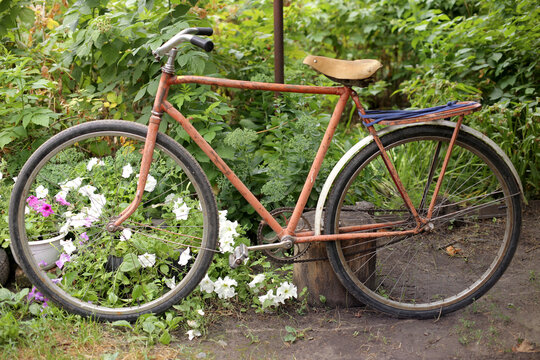 old rusty bike in flowers
