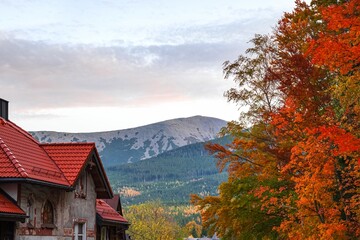Naklejka premium beautiful houses against the background of nature . real estate background