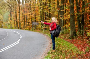 Fototapeta premium A young girl stands on the road and tries to stop the car