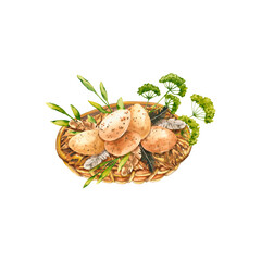 Watercolor wicker basket with eggs and feathers. Hand drawn illustration is isolated on white is perfect for agricultural design, farm logo, domestic hen egg label, rural background, easter card