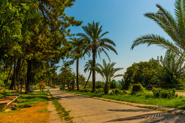 Fototapeta na wymiar ANTALYA, TURKEY: Picturesque Karaalioglu park with palm trees on a sunny day in Antalya.