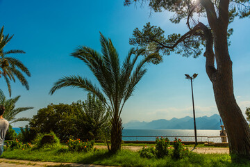 ANTALYA, TURKEY: Beautiful Karaalioglu park with palm trees on a sunny day in Antalya.