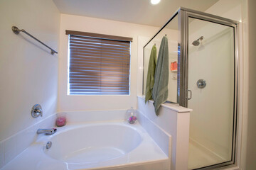 Interior of a bathroom with bathtub and shower stall with glass enclosure and aluminum frame