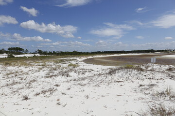 Camp Helen State Park, Florida, USA