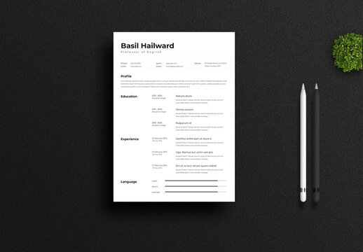 Modern Resume Layout