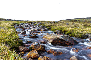 brook in nunavut