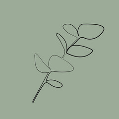 background greenery eucalyptus nature