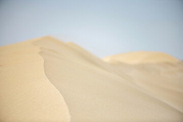 Sand Dune. Desert at sunset or sunrise. Copy space. Soft focus.