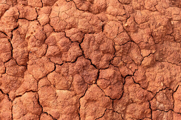 Soil erosion. Cracks in red clay ground. Arid climate. Dry dewatered sandy earth. Abstract texture or background. Horizontal format.