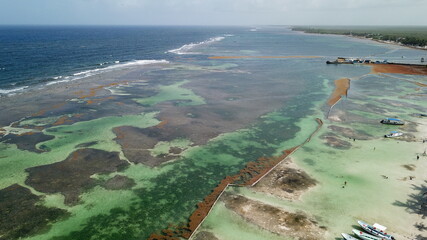Imágenes aéreas de Mahahual, donde se ubica el segundo muelle de cruceros más importante del Caribe Mexicano, en esta imagen de drone se aprecia la zona de arrecifes, las barreras anti sargazo  - obrazy, fototapety, plakaty