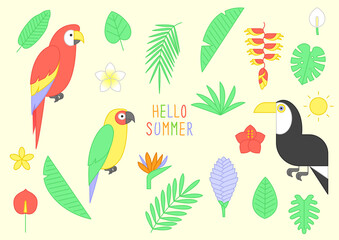 Vector illustration of cute tropical objects.