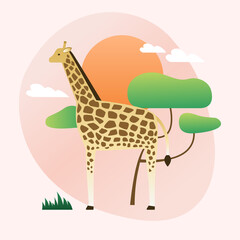 Fototapeta na wymiar Vector illustration of a giraffe.