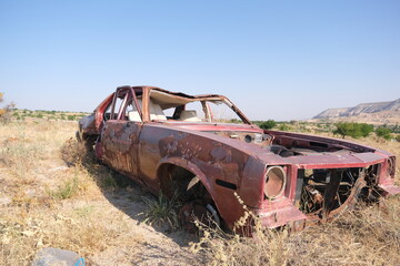Abandoned and brownfield vintage style car standing on agricultural field covered by yellow plants...