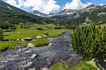 Fototapeta na wymiar Landscape of Banderitsa River at Pirin Mountain, Bulgaria