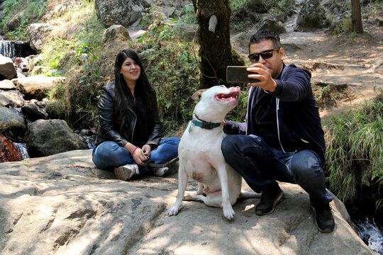 Latin couple with white pitbull dog exploring the forest between rivers and waterfalls in the middle of nature, taking photos
