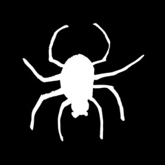 Vector image of a spider for Halloween.
White on a black background. Brush strokes. Hand drawing